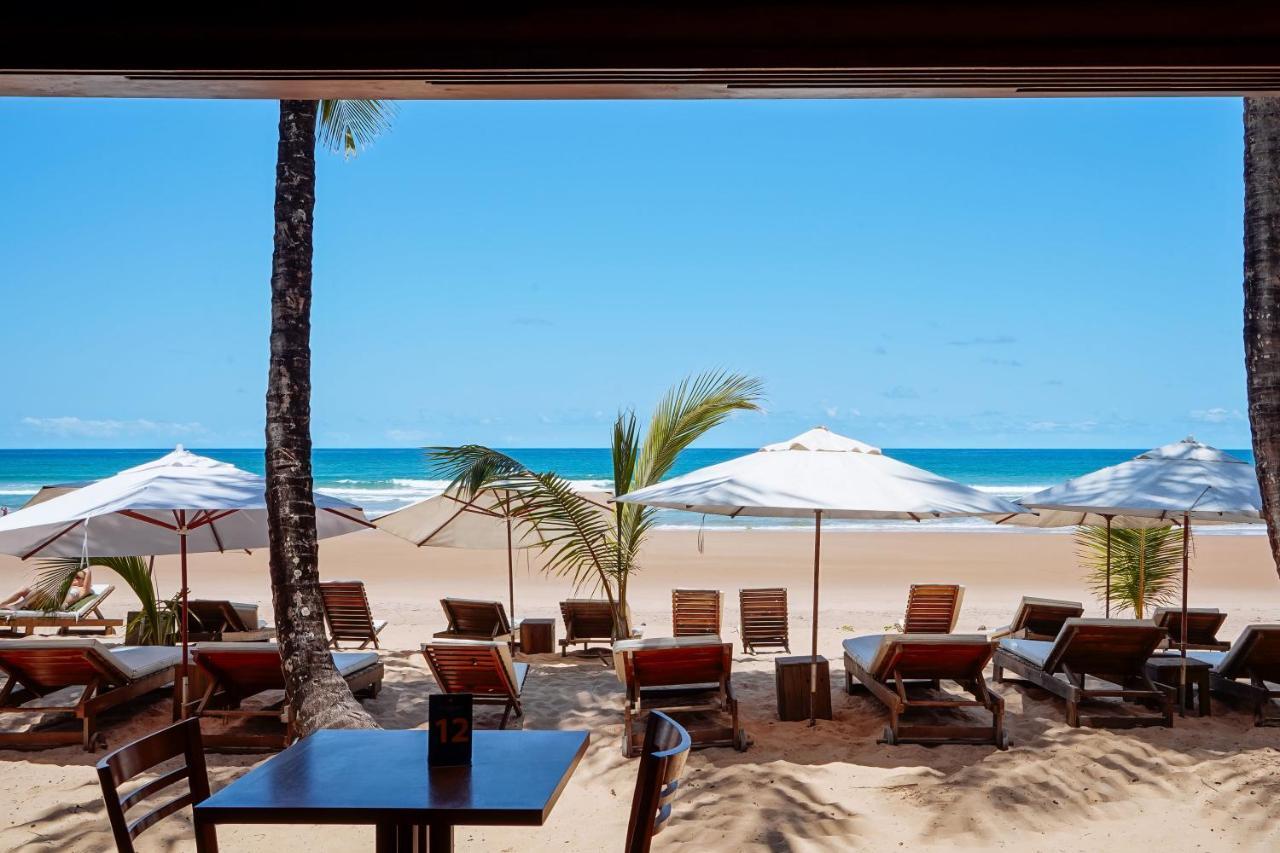 Dreamland Bungalows - Taipu De Fora - Barra Grande Eksteriør bilde