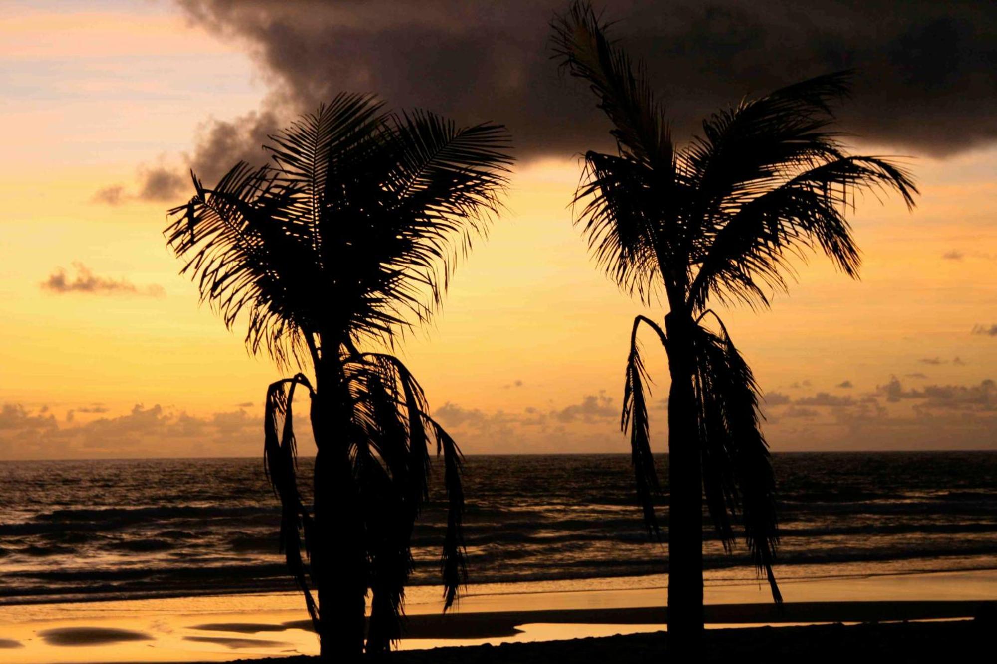 Dreamland Bungalows - Taipu De Fora - Barra Grande Eksteriør bilde